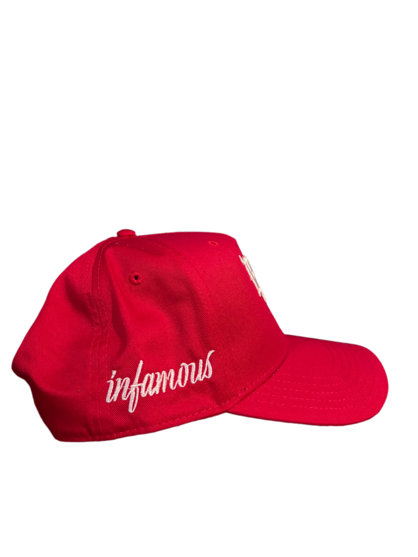 Infamous Hat Bundle